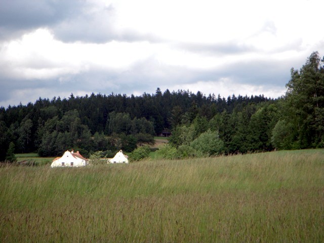 Oberrosenauerwald