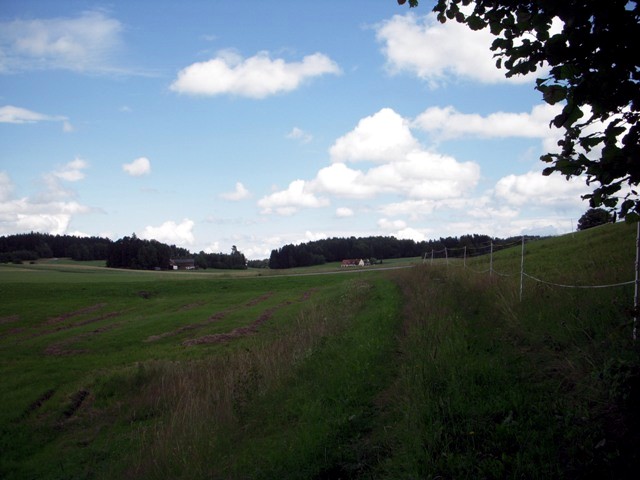 Oberrosenauerwald