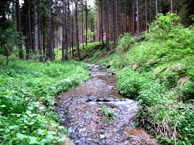 Walderlebnisweg