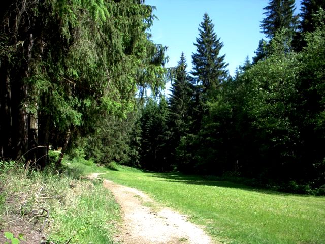 Waldviertel