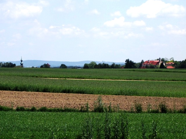 Blick auf Kirchberg