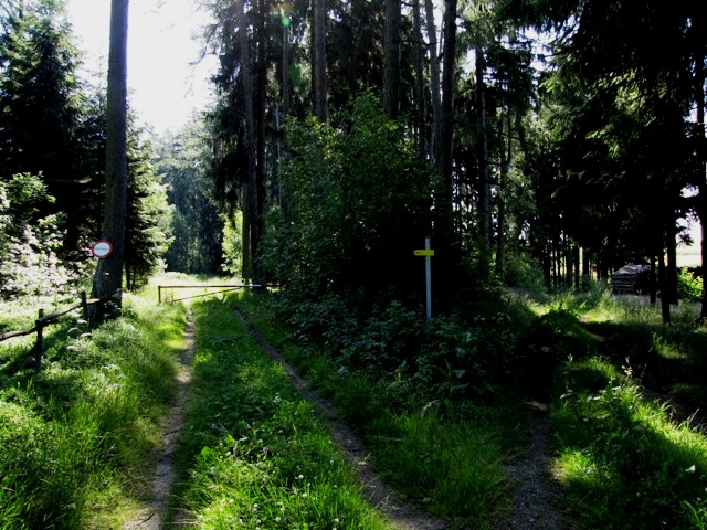 Ritzmannshofer Wald