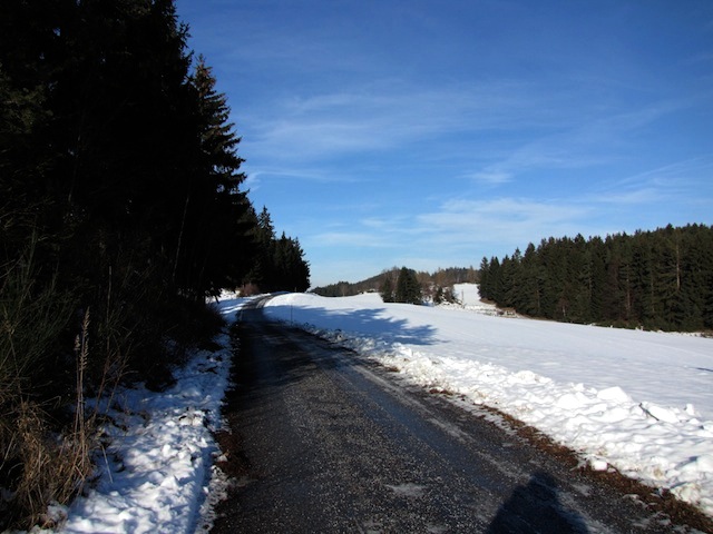 Zufahrtsstraße Richtung Dachlhof
