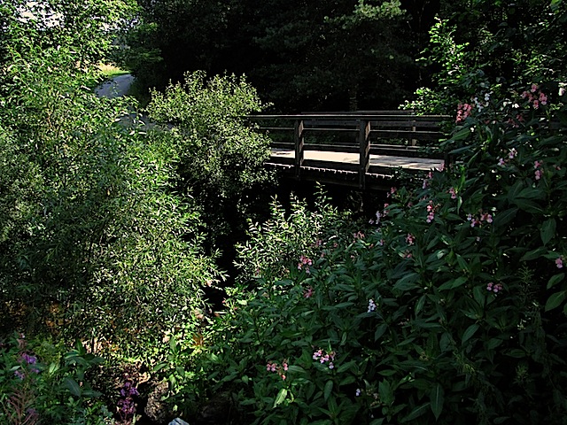 Brücke zur Höppelmühle