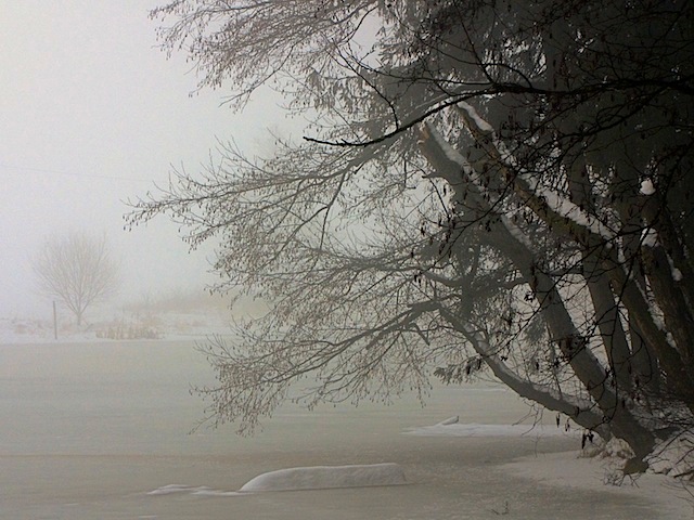Nebel am Schönauer Teich