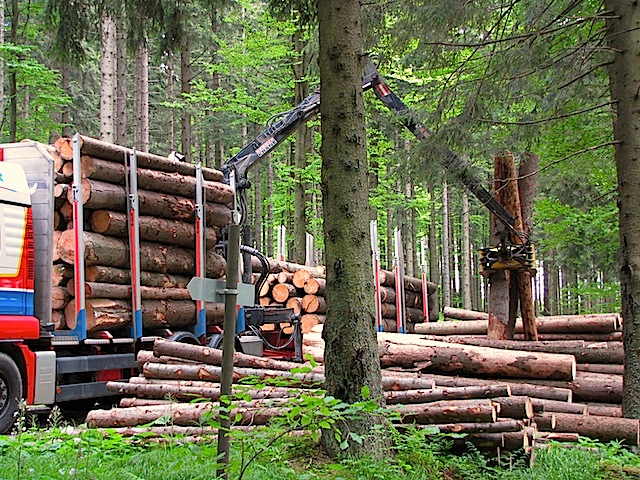 Holzabtransport