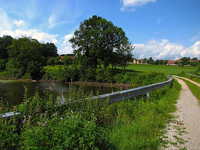 Der Rotenrohr-Teich