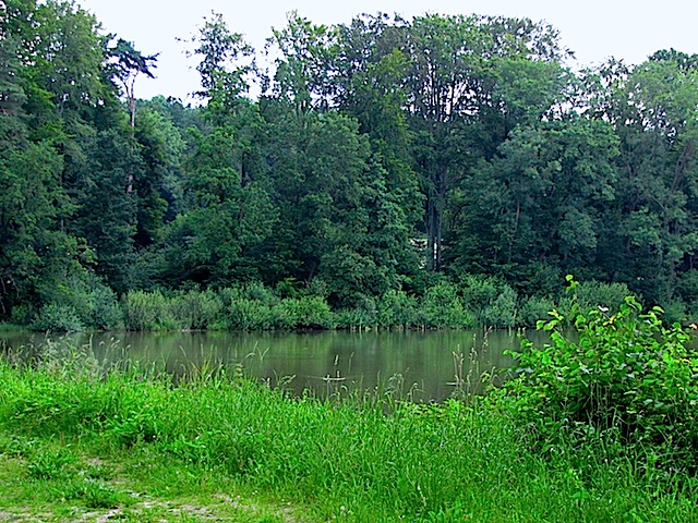 Der Park-Teich