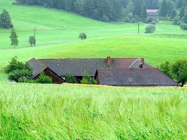 Bauernhof im Tal