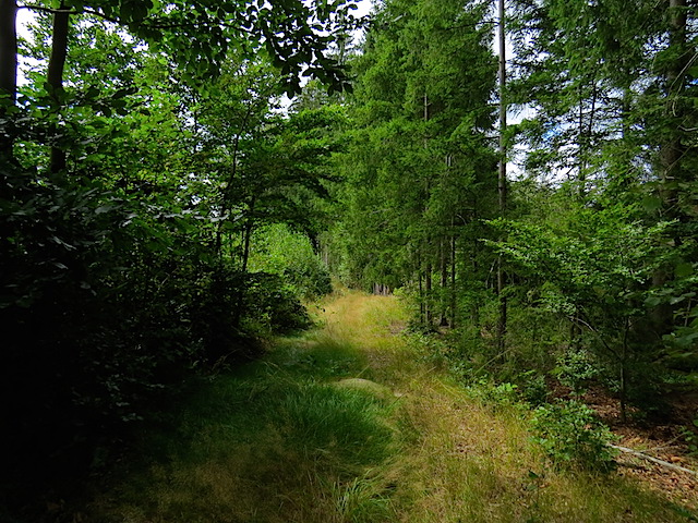 Wiesenwaldweg